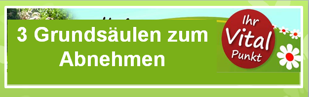 Abnehmen ohne Sport die Grundsäulen