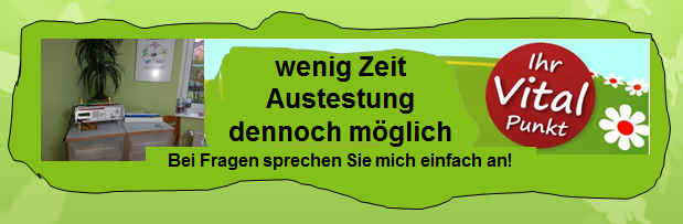 Online Bioresonanz Austestung - mit wenig Zeit