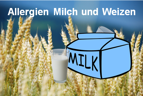 Allergien Milch und Weizen - Heilpraxis Spandau