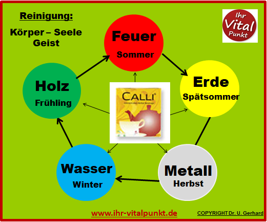 5 Elemente Calli Tee