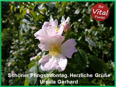 Pfingstmontag Ursula Gerhard Berlin Spandau 2018