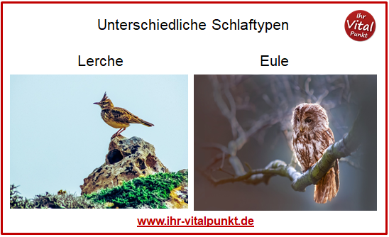 Unterschiedliche Schlaftypen1