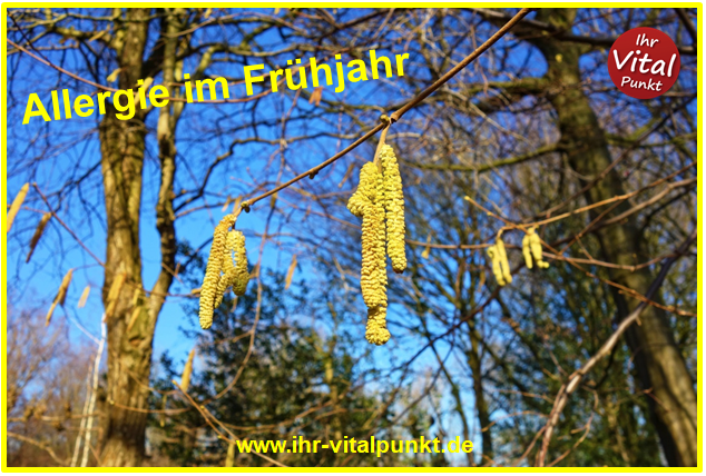 Allergie im Frühling